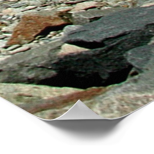 Foto van de oude Scituate vuurtoren Poster (Hoek)