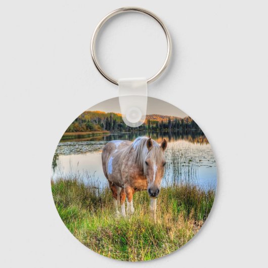 Foto van de paardenliefhebber Palomino Pinto Stall Sleutelhanger (Voorkant)