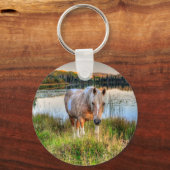 Foto van de paardenliefhebber Palomino Pinto Stall Sleutelhanger (Voorkant)