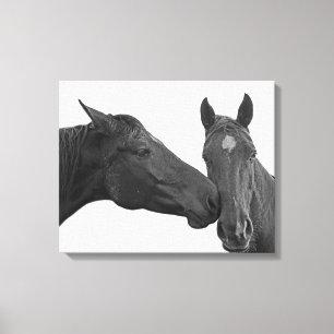 Foto van de paardenpaardensportfoto zwart-wit canvas afdruk