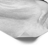 Foto van de paardenpaardensportfoto zwart-wit poster (Hoek)