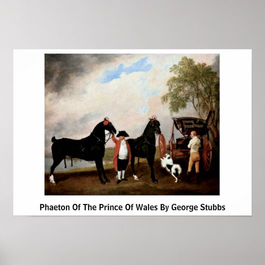 Foto van de prins Wales van George Stubbs Poster (Voorkant)