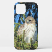 foto van de rode Hawk Pine Boom Case-Mate iPhone Case (Achterkant)