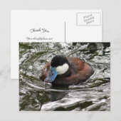 Foto van de rosse stekelstaart Bedankt Briefkaart (Voorkant / Achterkant)