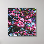 Foto van de roze bloeiende hondhout canvas afdruk (Voorkant)