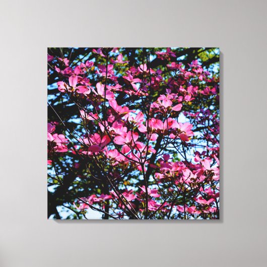 Foto van de roze bloeiende hondhout canvas afdruk (Voorkant)