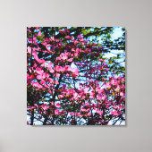 Foto van de roze bloeiende hondhout canvas afdruk (Voorkant)