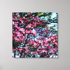 Foto van de roze bloeiende hondhout canvas afdruk