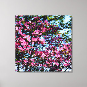 Foto van de roze bloeiende hondhout canvas afdruk