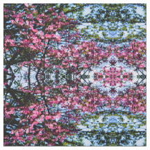 Foto van de roze bloeiende hondhout