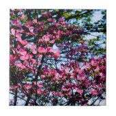 Foto van de roze bloeiende hondhout tegeltje (Voorkant)