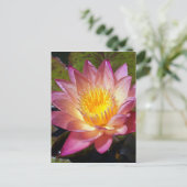Foto van de roze waterLily Briefkaart (Staand voorkant)