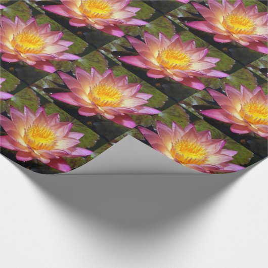 Foto van de roze waterLily Cadeaupapier (Hoek)