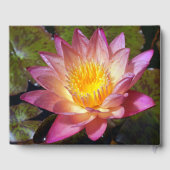 Foto van de roze waterLily Gastenboek (Achterkant)