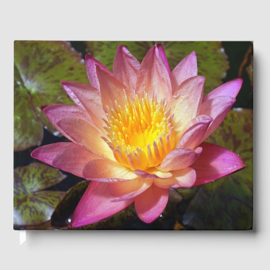 Foto van de roze waterLily Gastenboek (Voorkant)