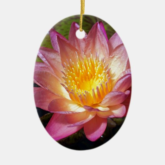 Foto van de roze waterLily Keramisch Ornament (Voorkant)