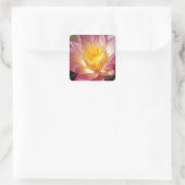 Foto van de roze waterLily Vierkante Sticker (Tas)
