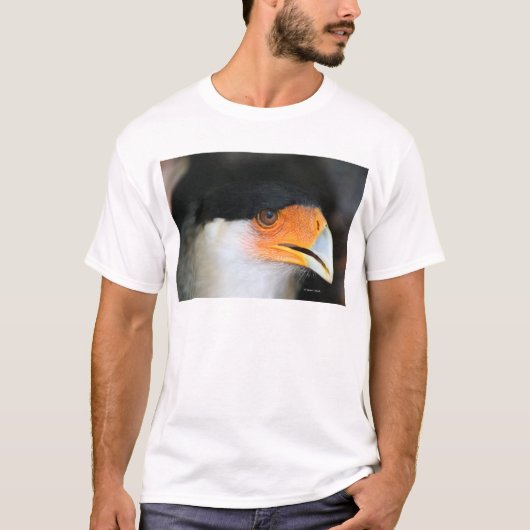 Foto van de schildpad van het afbeelding t-shirt (Voorkant)