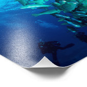 Foto van de "School of Bumphead Parrot Fish" Foto Afdruk (Hoek)