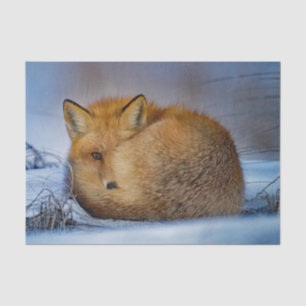 Foto van de sneeuwpop tissuepapier