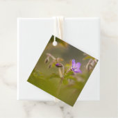 Foto van de ventilatorNatuur Bedankjes Labels (In situ)