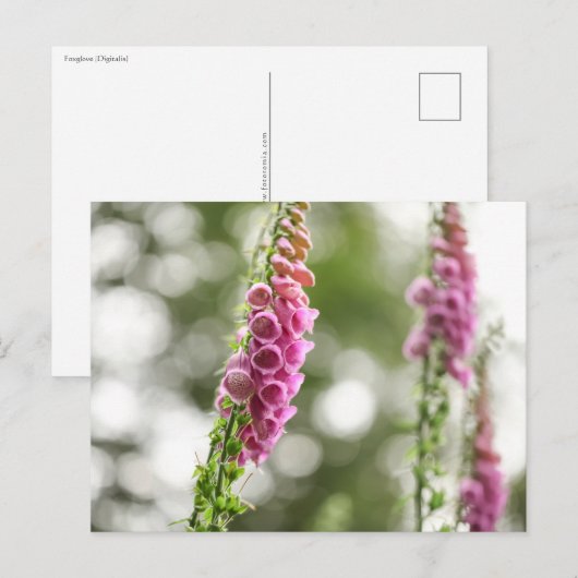 Foto van de ventilatorNatuur Briefkaart (Voorkant / Achterkant)