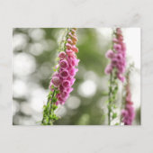 Foto van de ventilatorNatuur Briefkaart (Voorkant)