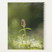 Foto van de ventilatorNatuur Planner (Achterkant)