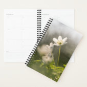 Foto van de ventilatorNatuur Planner (Display)