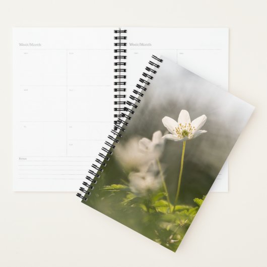 Foto van de ventilatorNatuur Planner (Display)