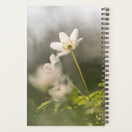 Foto van de ventilatorNatuur Planner (Achterkant)
