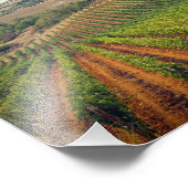 Foto van de wijngaard van Toscane met een sombere Foto Afdruk (Hoek)