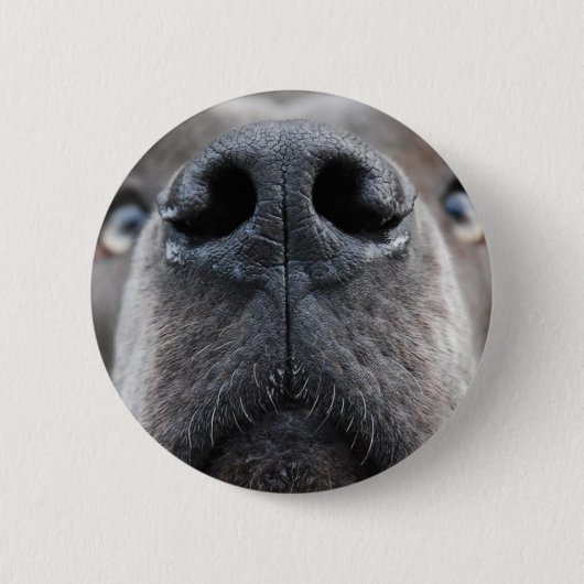 Foto van Dog Ronde Button 5,7 Cm (Voorkant)