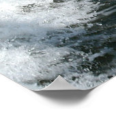 foto van dolfijn poster (Hoek)