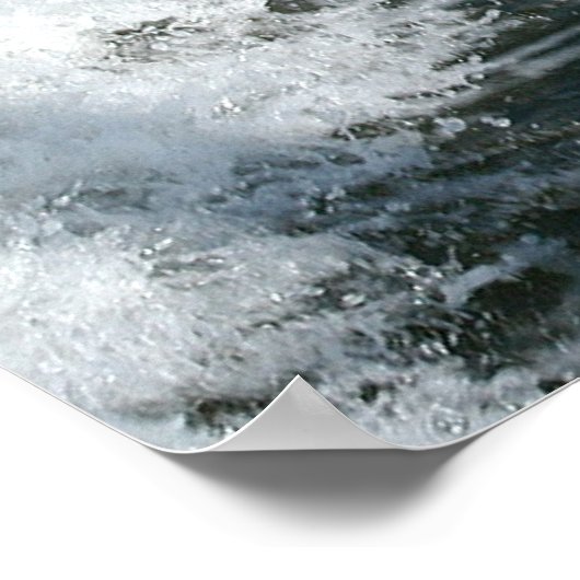 foto van dolfijn poster (Hoek)