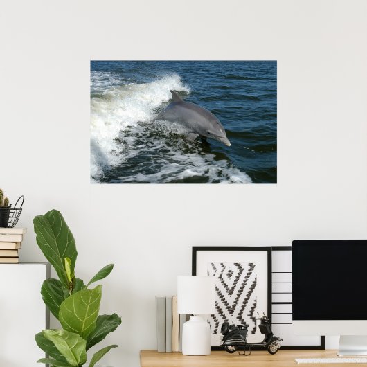 foto van dolfijn poster (Thuiskantoor)