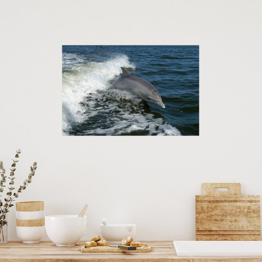 foto van dolfijn poster (Keuken)