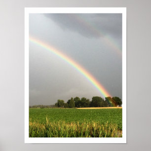 Foto van dubbele regenboog poster