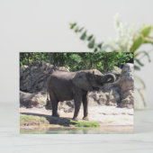 Foto van een African Elephant Flat Kaart (Staand voorkant)