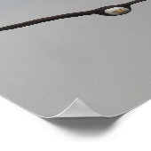 Foto van een arend genomen in Dubuque, Iowa Poster (Hoek)