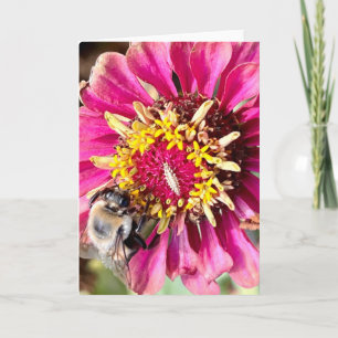 Foto van een bloem uit New England lege kaart