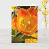 Foto van een bloem uit New England Lege kaart (Gele Bloem)