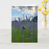 Foto van een bloem uit New England Lege kaart (Gele Bloem)