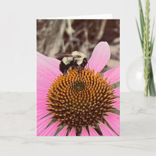 Foto van een bloem uit New England lege kaart