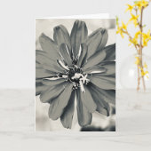 Foto van een bloem uit New England Lege kaart (Gele Bloem)