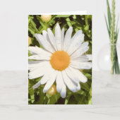 Foto van een bloem uit New England Lege kaart (Voorkant)