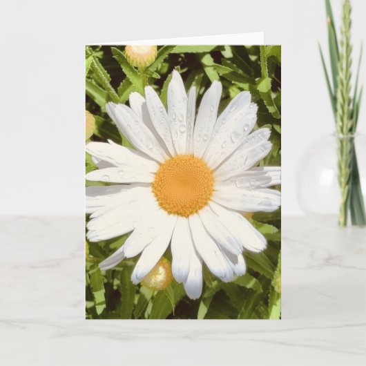 Foto van een bloem uit New England Lege kaart (Voorkant)