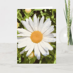 Foto van een bloem uit New England lege kaart