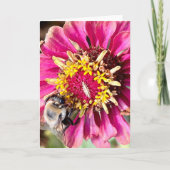 Foto van een bloem uit New England Lege wenskaart Kaart (Voorkant)