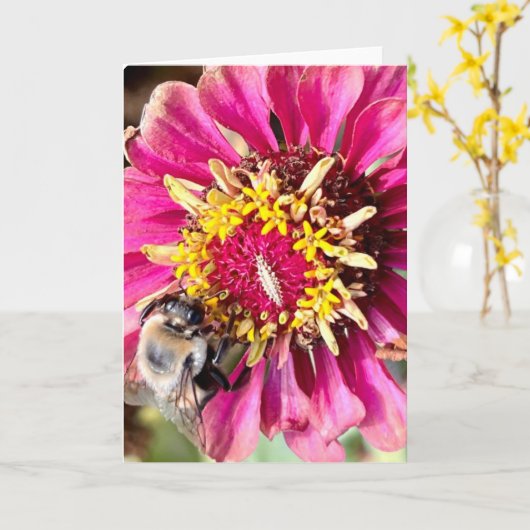 Foto van een bloem uit New England Lege wenskaart Kaart (Gele Bloem)